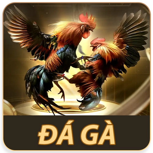 6623 - 6623 Galaxy Casino - Nhà Cái Đến Từ Châu Âu 5 ĐÁ Gà