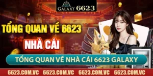 6623 - 6623 Galaxy Casino - Nhà Cái Đến Từ Châu Âu 31 Giới thiệu tổng quan về nhà cái 6623