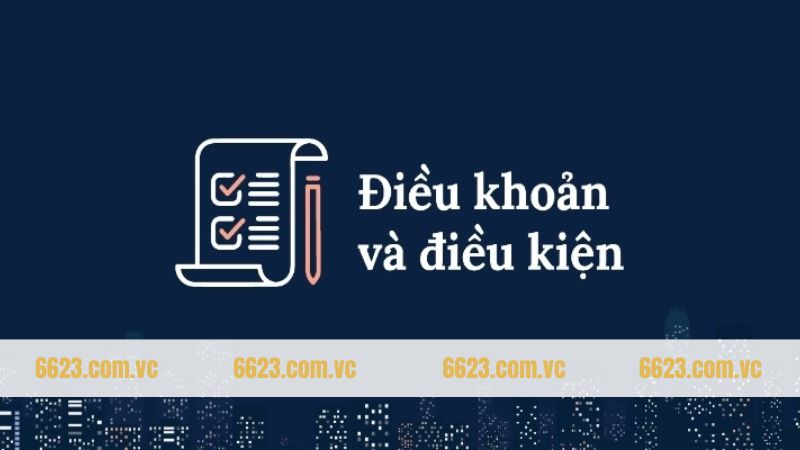 Điều Khoản Và Điều Kiện 6623 - Cam Kết Vì Lợi Ích Người Dùng 2 Nội dung về các điều khoản và điều kiện 6623